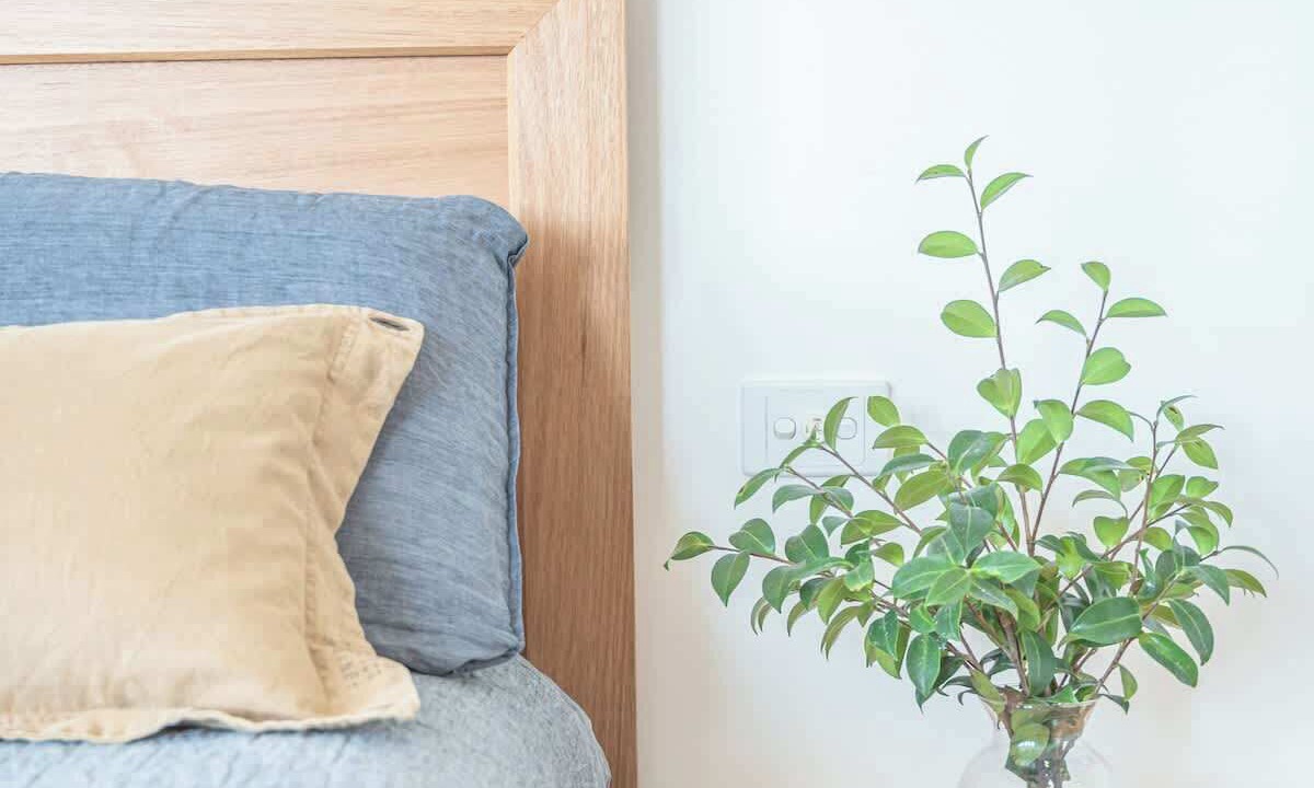 Photo of Bedroom in Terrigal