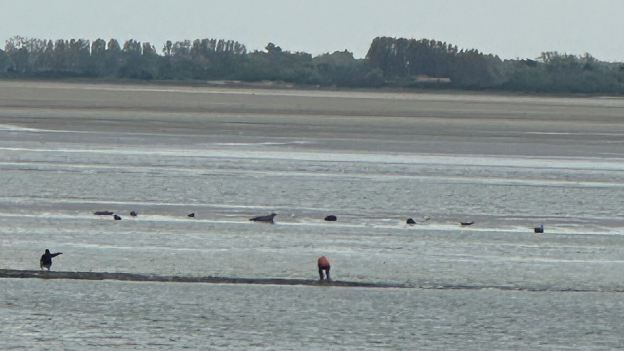 Photo of Others in Calais