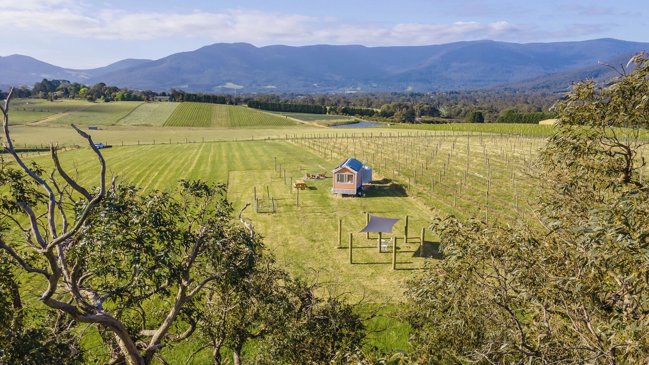 Photo of Others in Yarra Junction