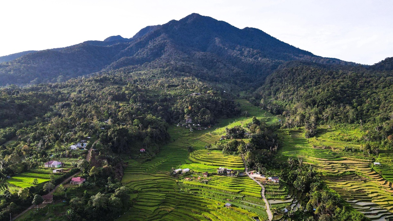 Photo of Outdoor in Sumatra