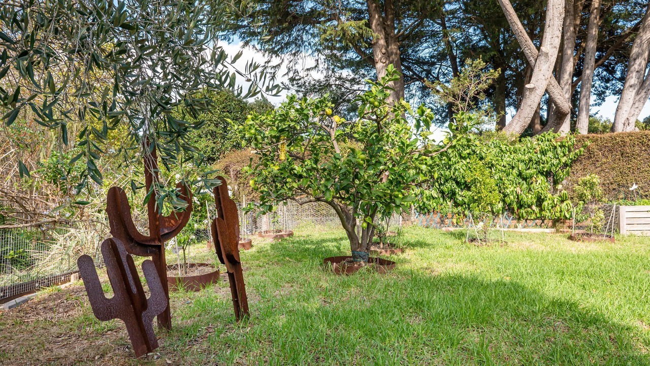 Photo of Others in Somers