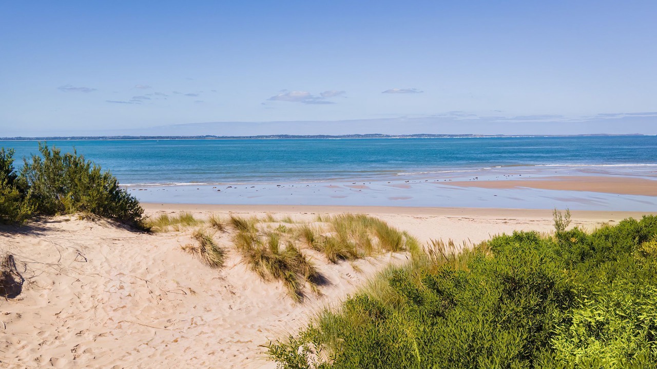 Photo of Others in Somers