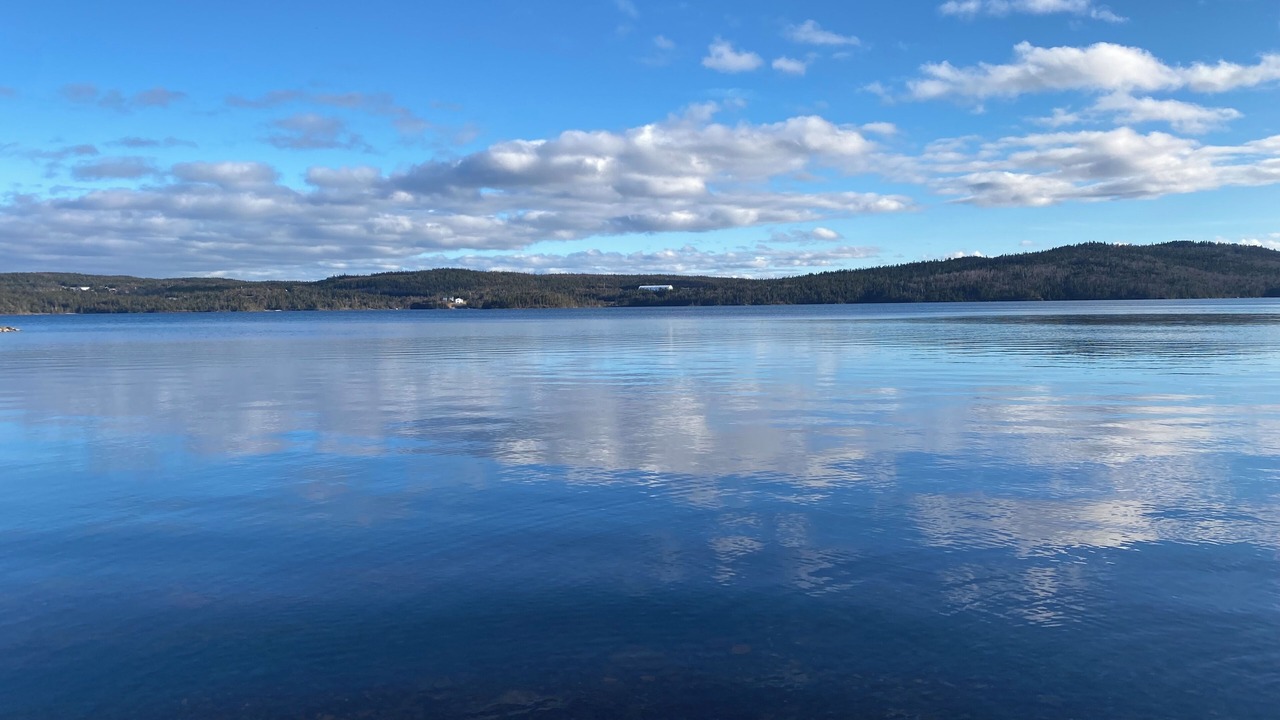 Photo of Others in Tors Cove
