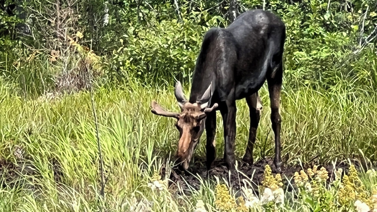 Photo of Others in Franklin County