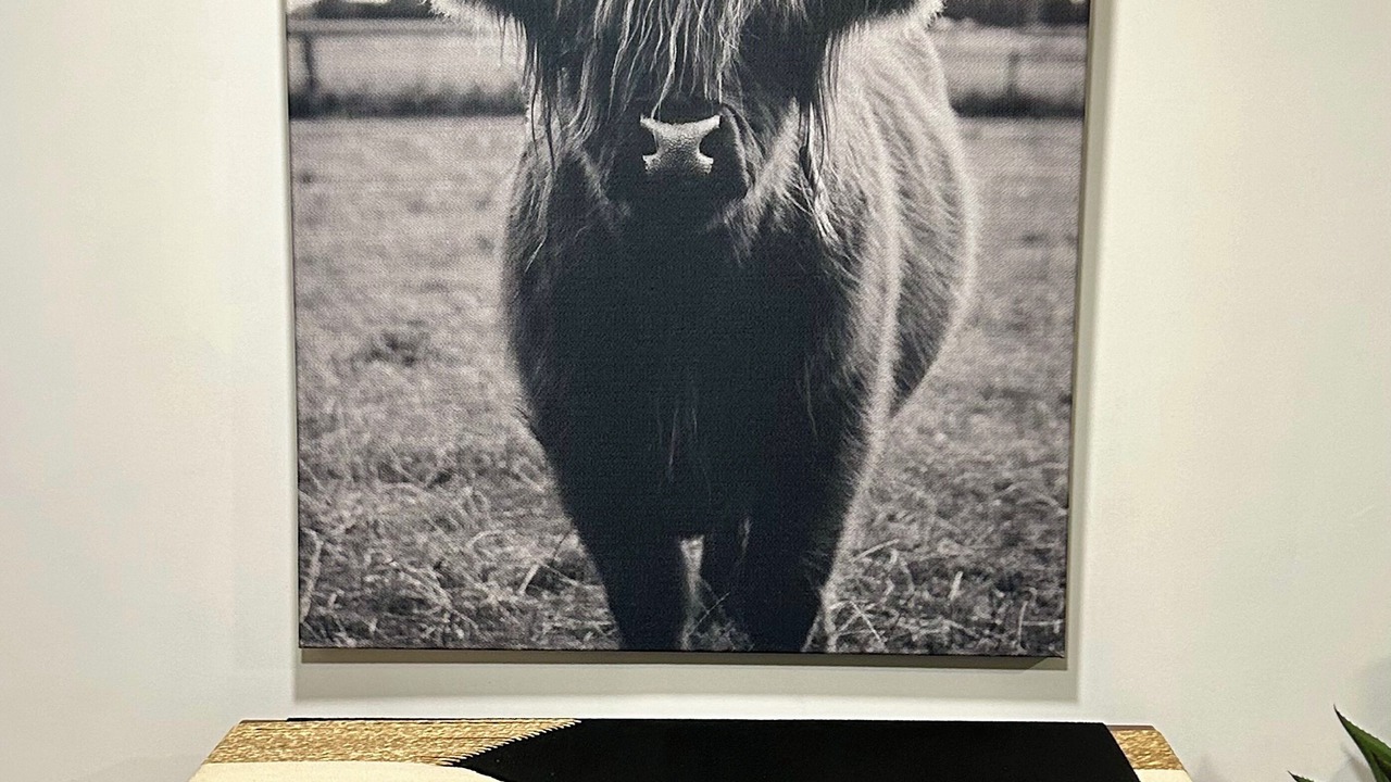 Photo of Others in Prairie Lea