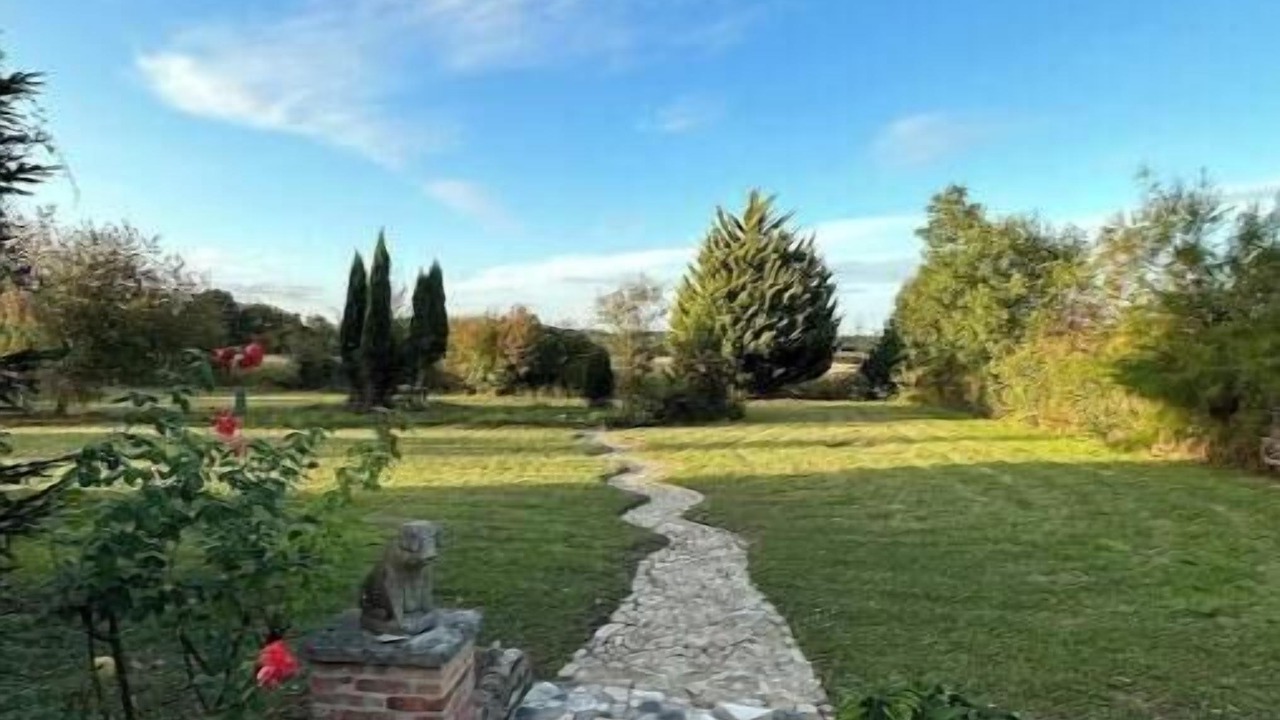 Photo of Outdoor in Saint-Aubin-des-Chateaux