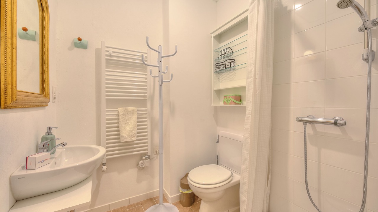 Photo of Bathroom in Sagno