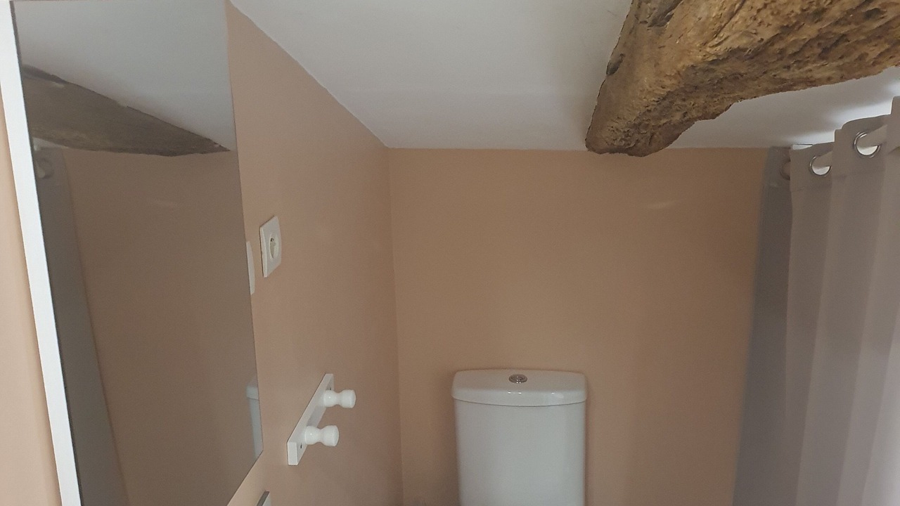 Photo of Bathroom in Montournais