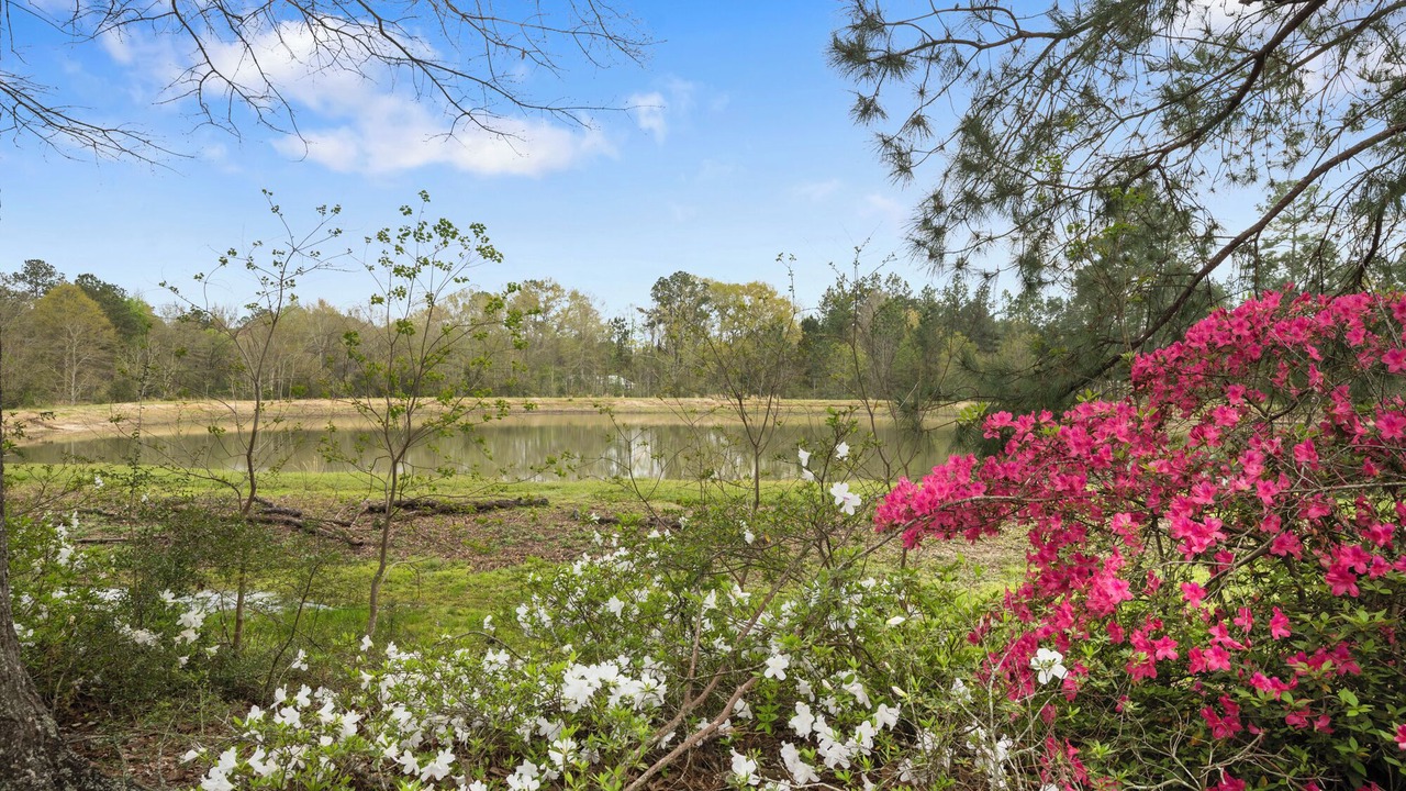 Photo of Outdoor in Hattiesburg