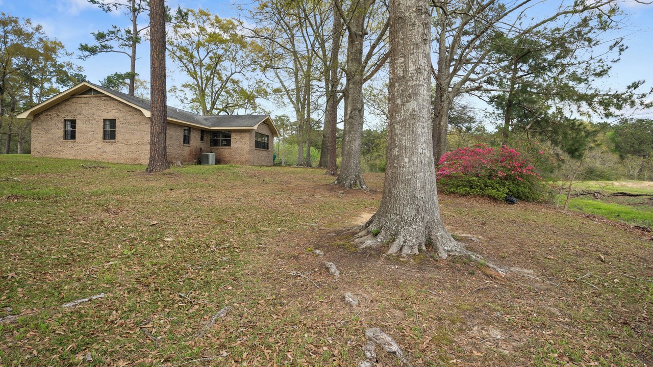 Photo of Outdoor in Hattiesburg