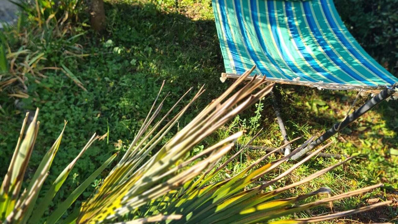 Photo of Outdoor in Njivice