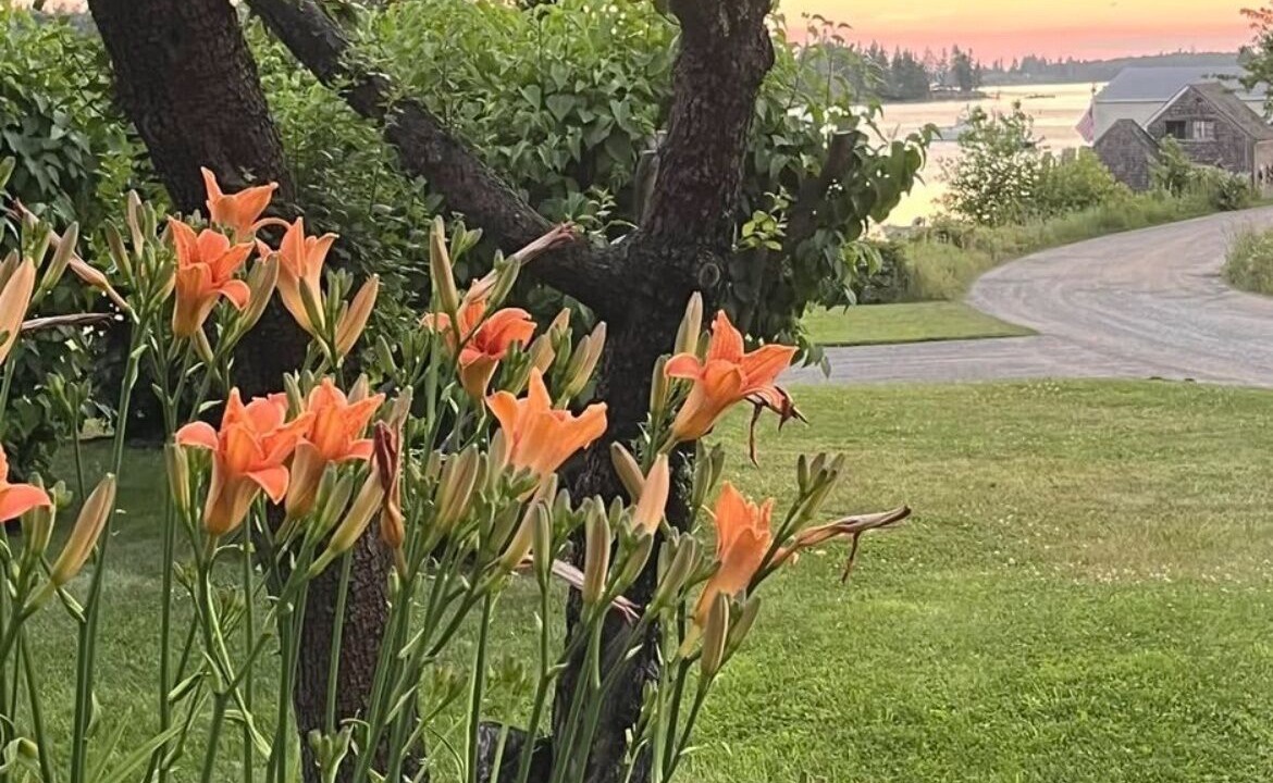 Photo of Outdoor in Port Clyde