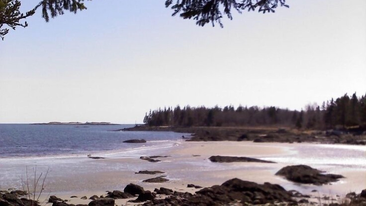 Photo of Others in Port Clyde