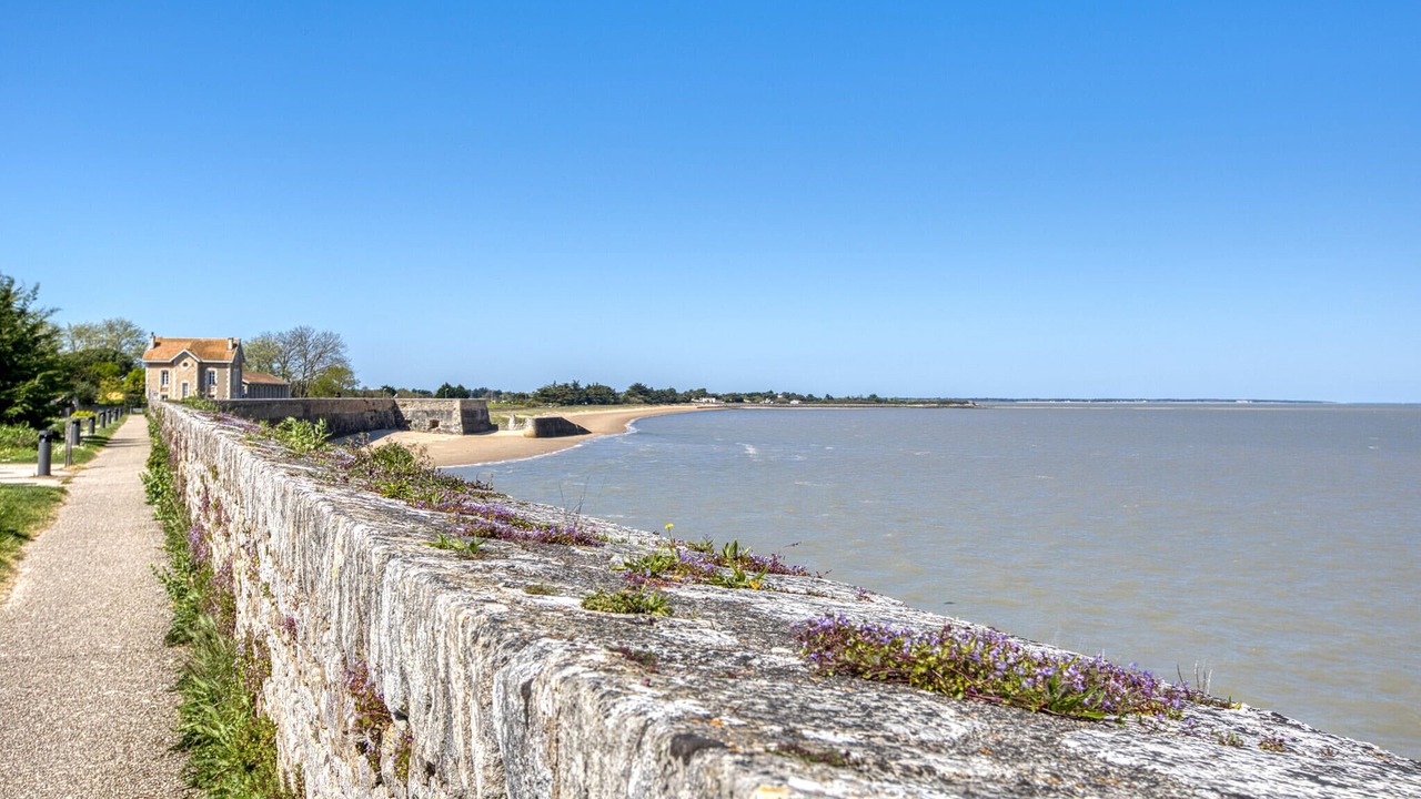 Photo of Others in Le Chateau-d'Oleron