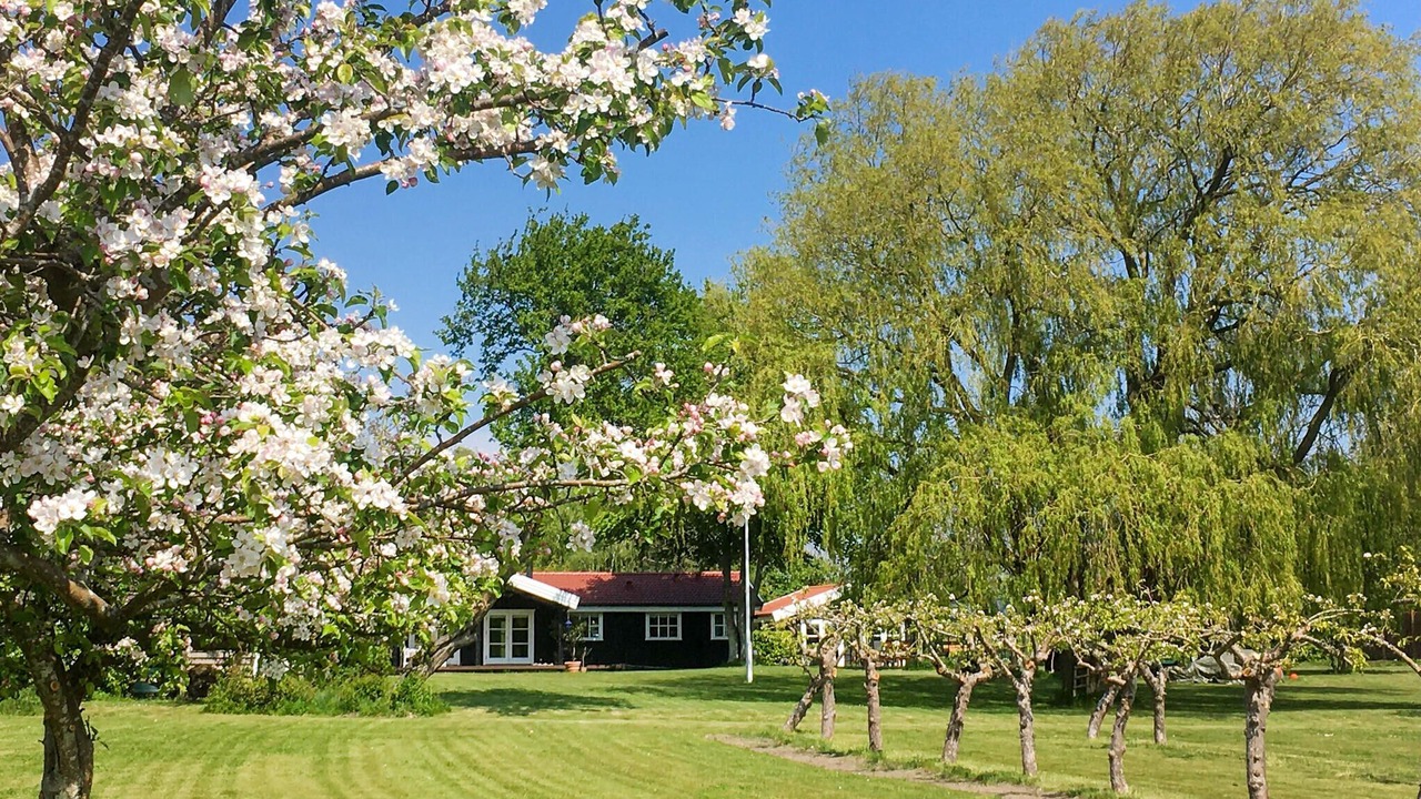 Photo of Others in Roneklint