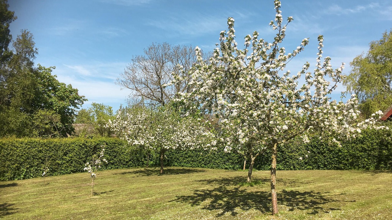 Photo of Others in Roneklint