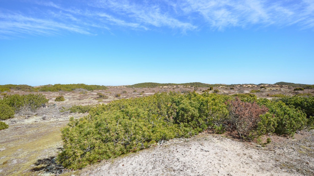 Photo of Others in Anholt