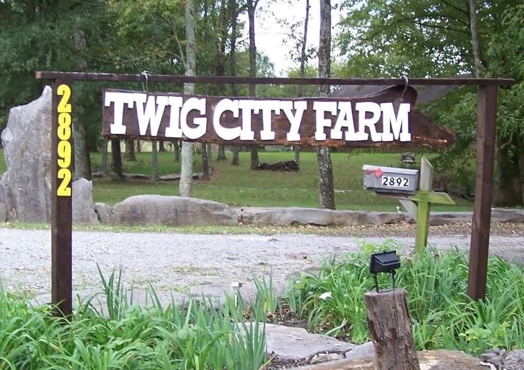 Photo of Others in Lebanon