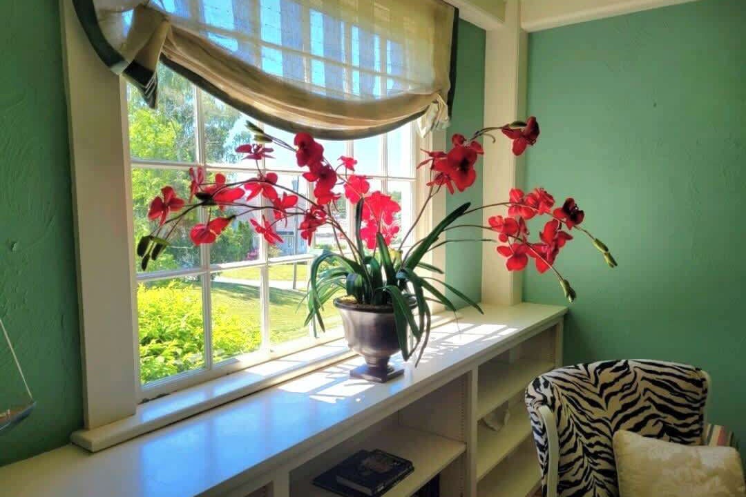 Photo of Others in Cape Neddick