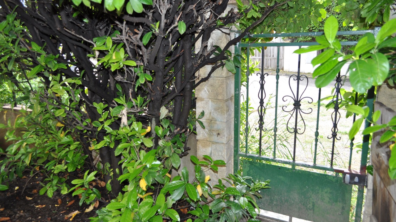 Photo of Outdoor in Saint-Laurent-d'Aigouze