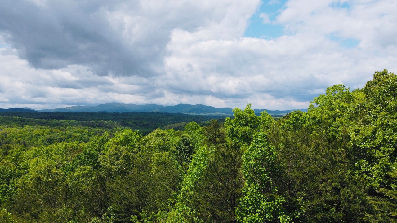 Photo of Others in Morganton