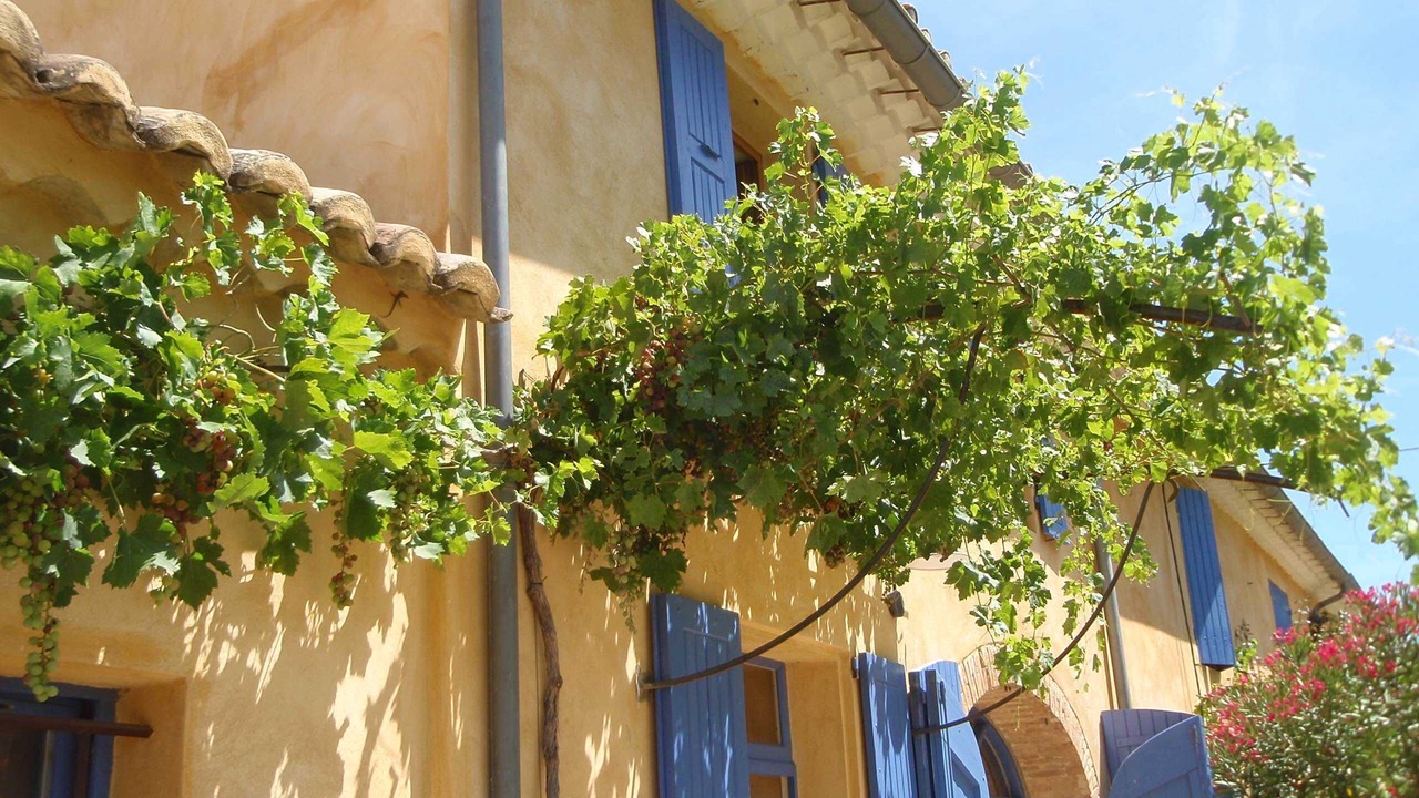 Photo of Outdoor in Suze-la-Rousse