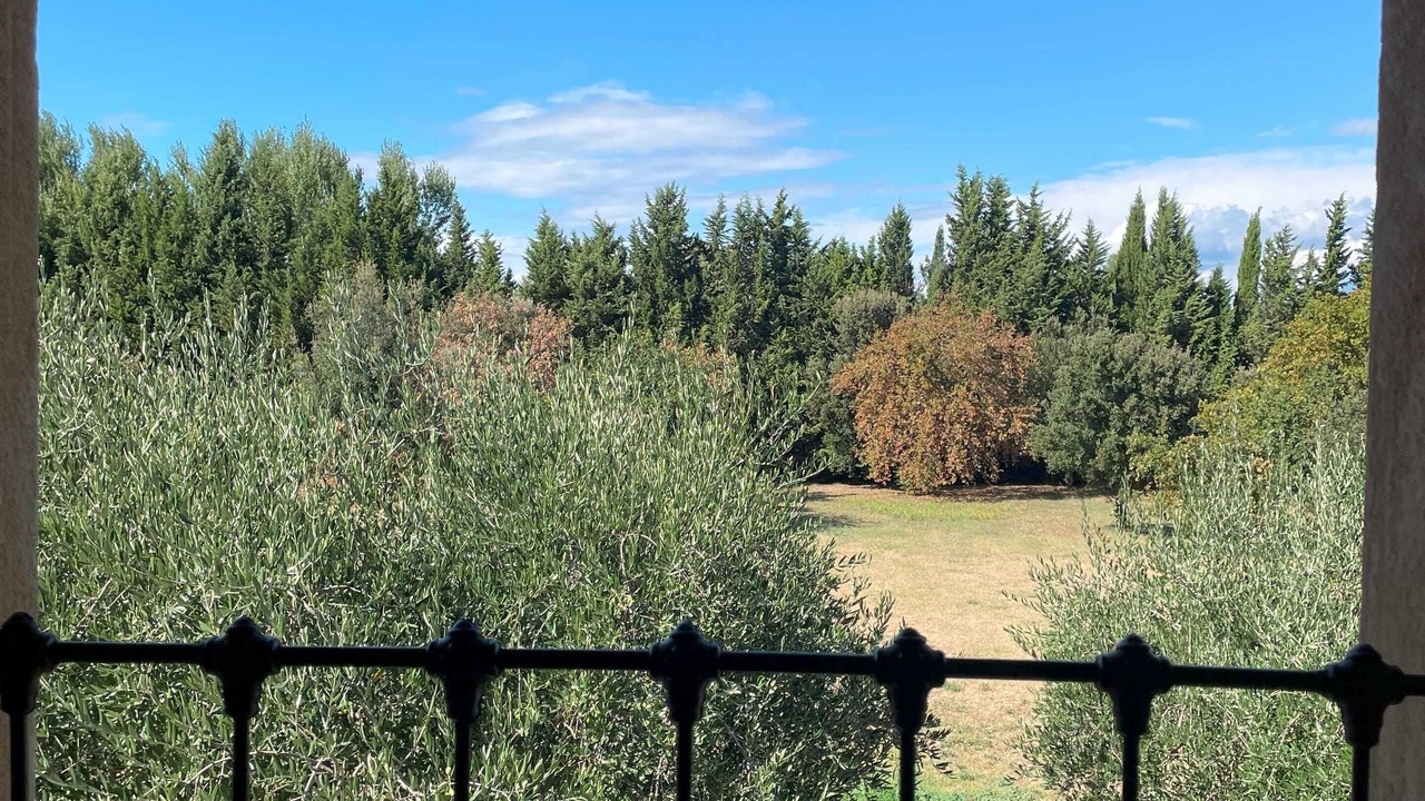 Photo of Outdoor in Suze-la-Rousse