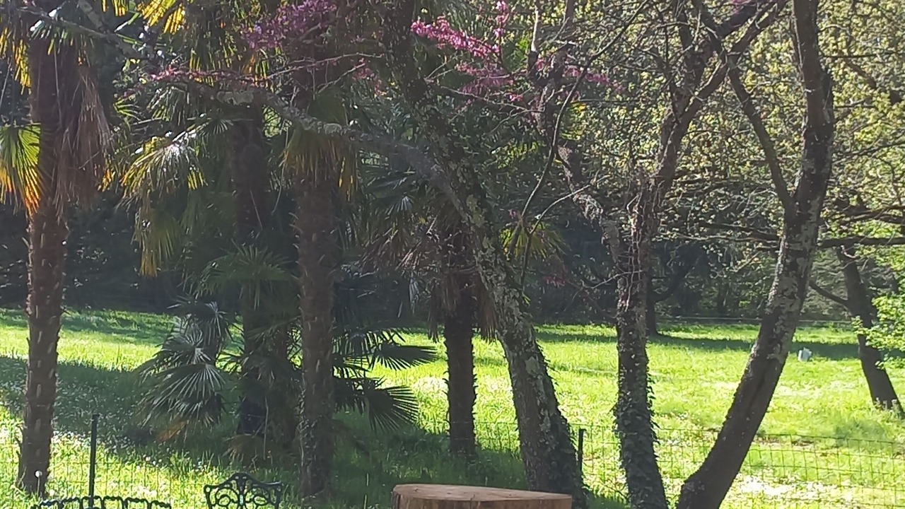 Photo of Outdoor in Saint-Laurent-le-Minier