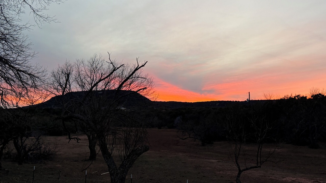 Photo of Others in Buffalo Gap