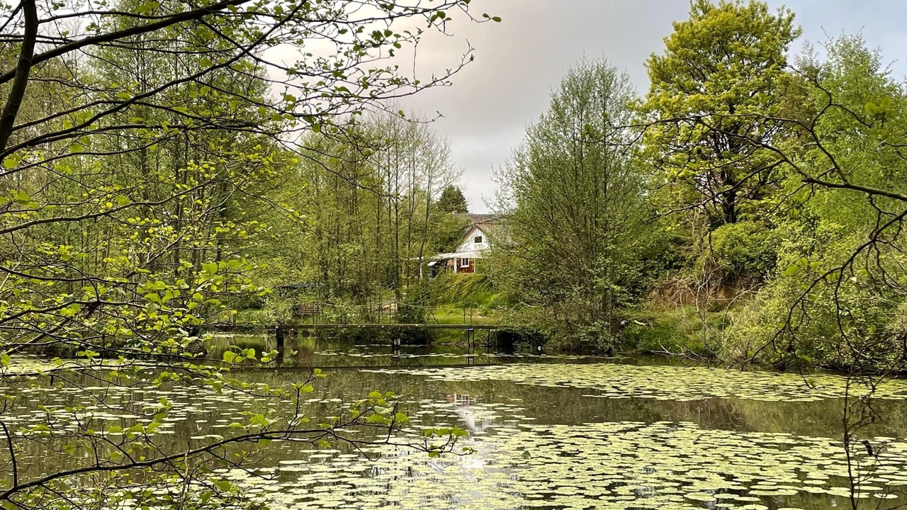 Photo of Others in St-Jean-des-Champs