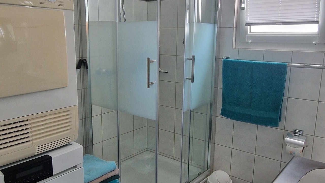 Photo of Bathroom in Andelfingen District