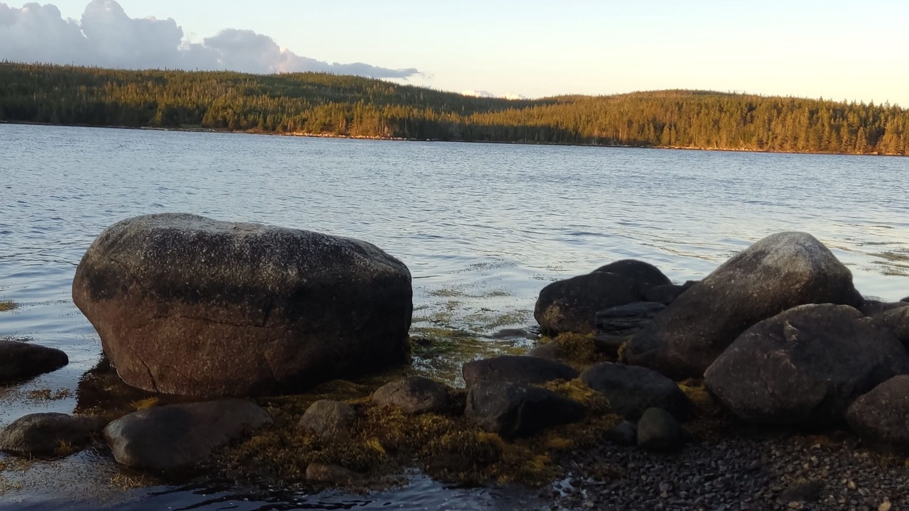 Photo of Others in Guysborough County