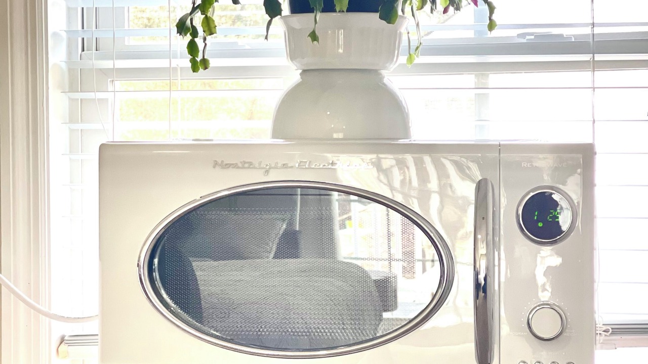 Photo of Others in Charleston