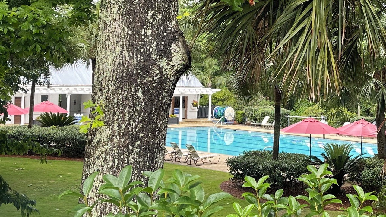 Photo of Outdoor in Charleston