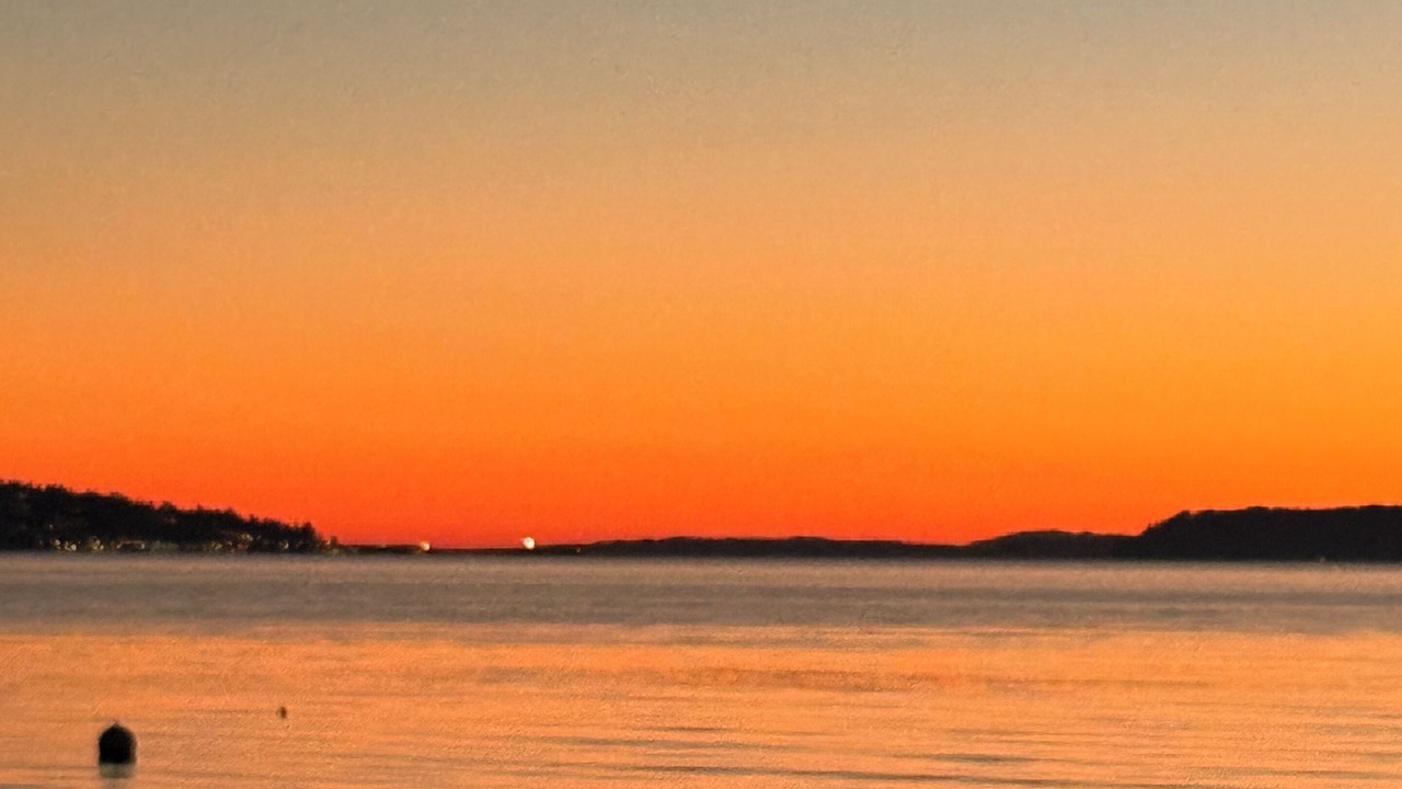 Photo of Others in Priest Point