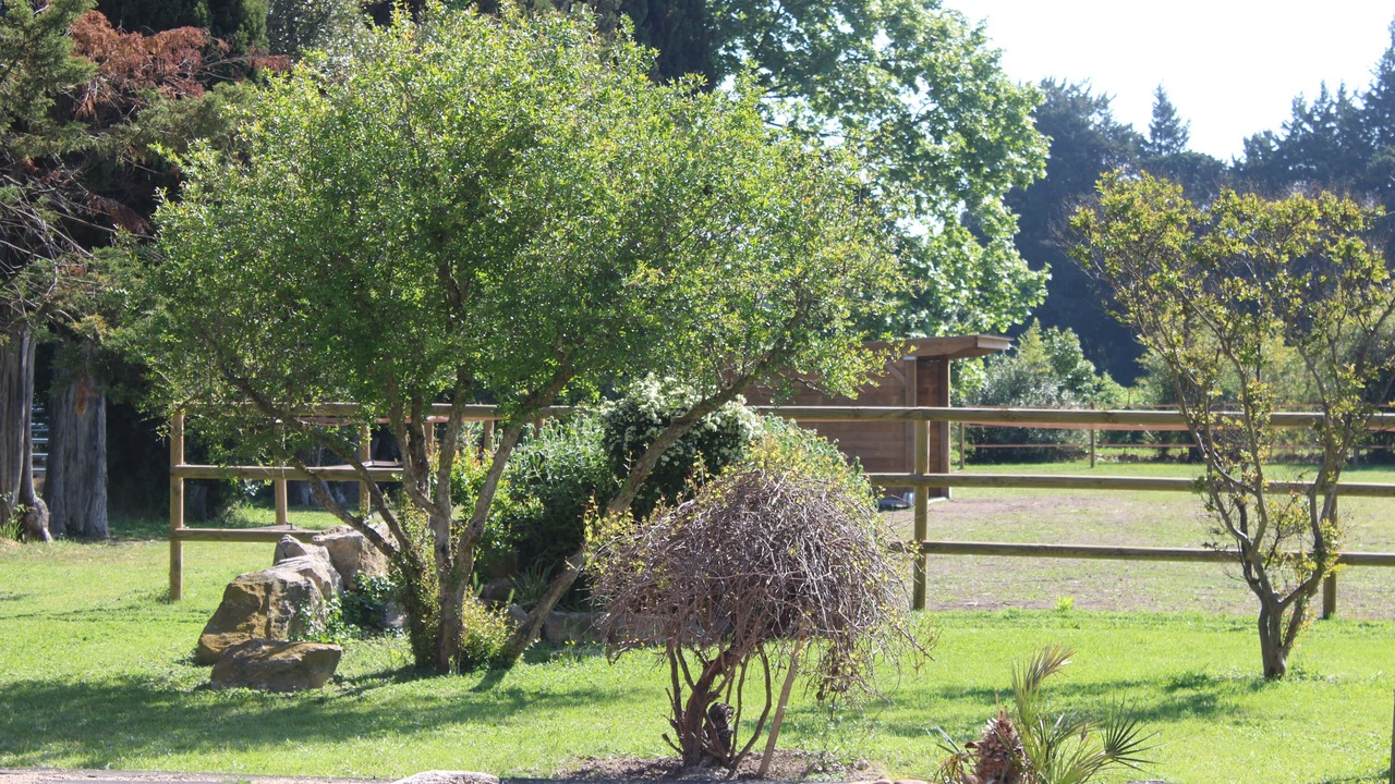 Photo of Outdoor in Chateaurenard