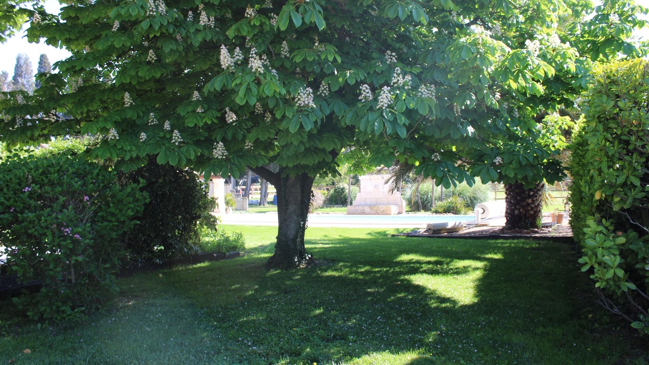 Photo of Outdoor in Chateaurenard