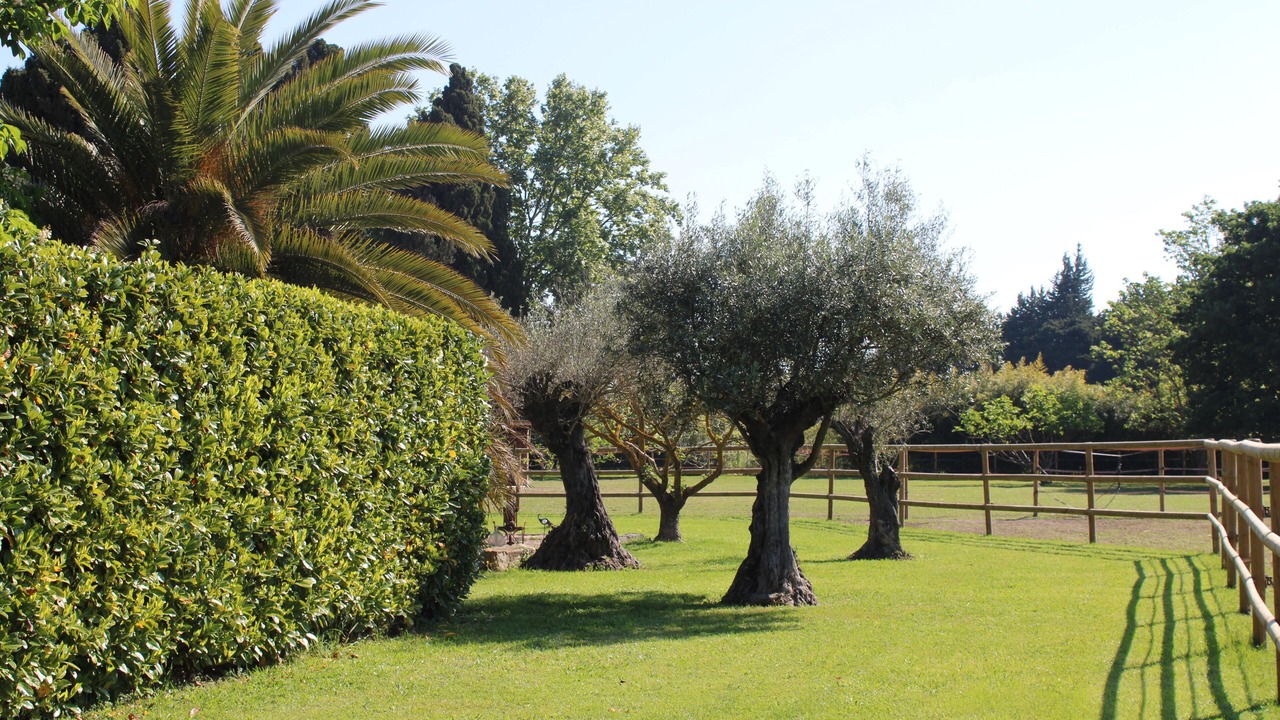 Photo of Outdoor in Chateaurenard