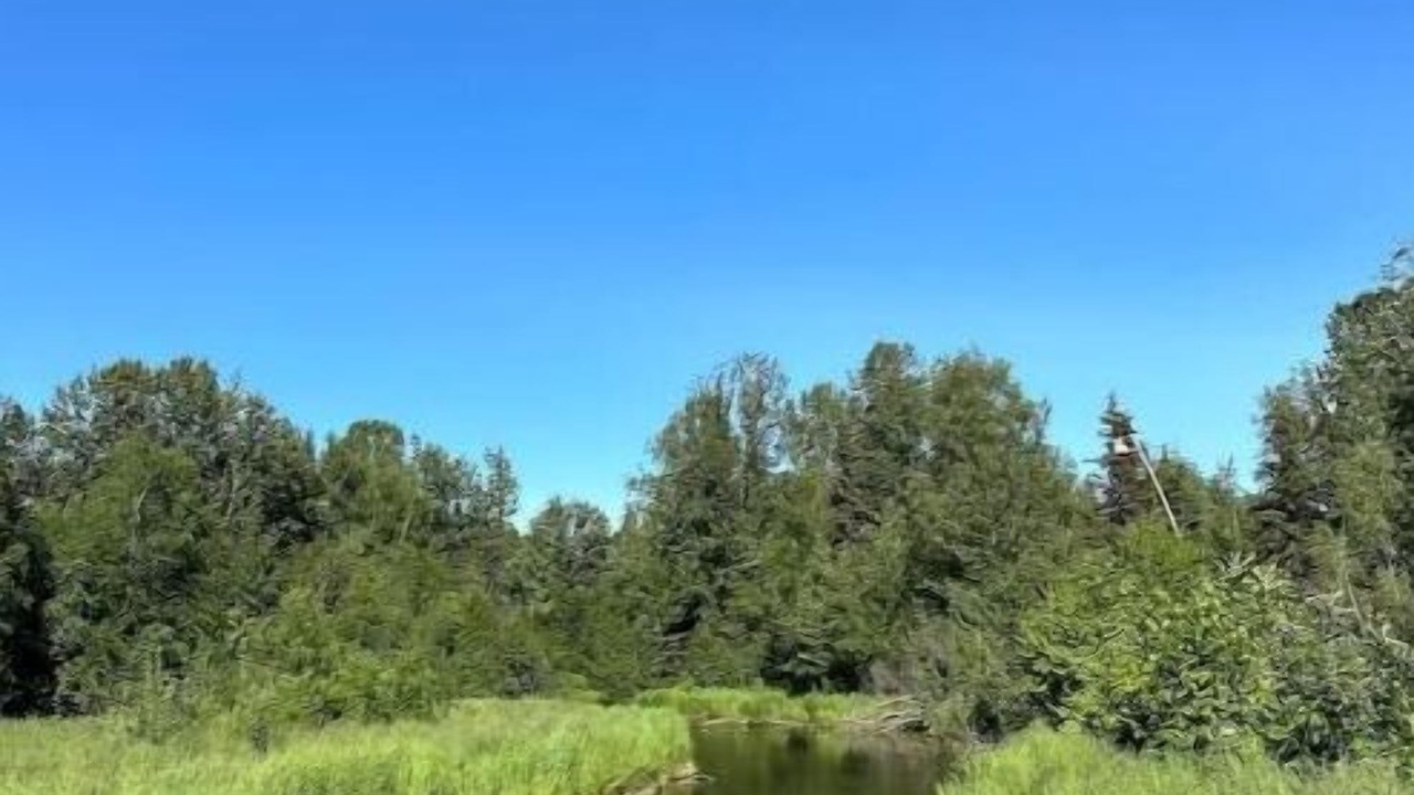 Photo of Others in North Star
