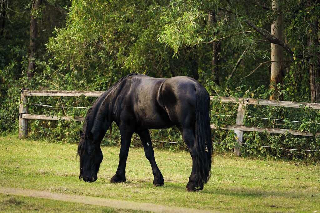 Photo of Others in Tamborine