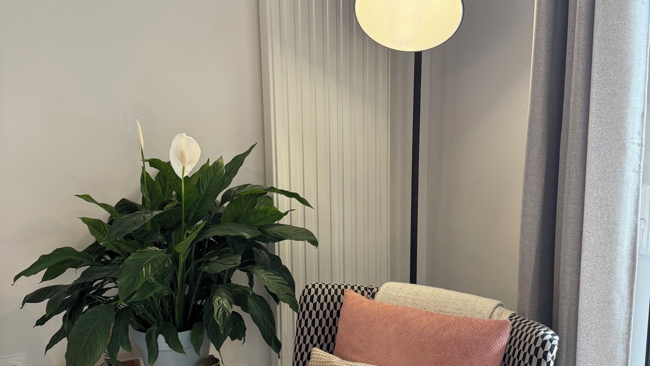 Photo of Others in Plescop