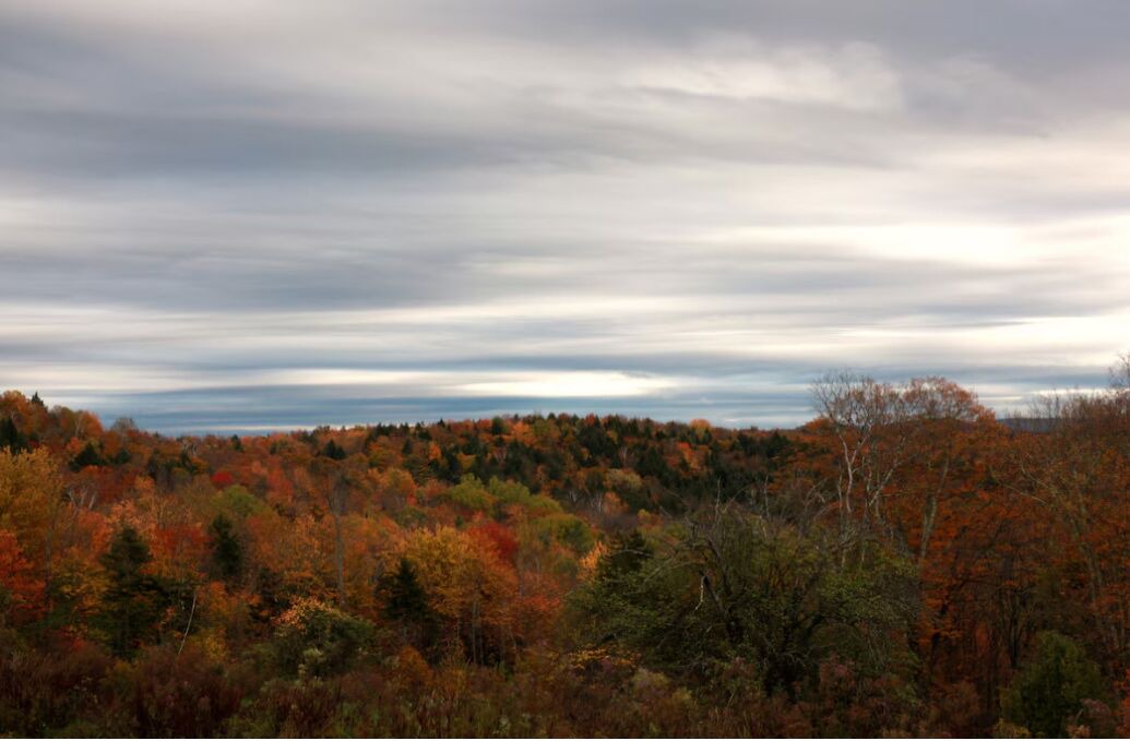 Photo of Others in Braintree