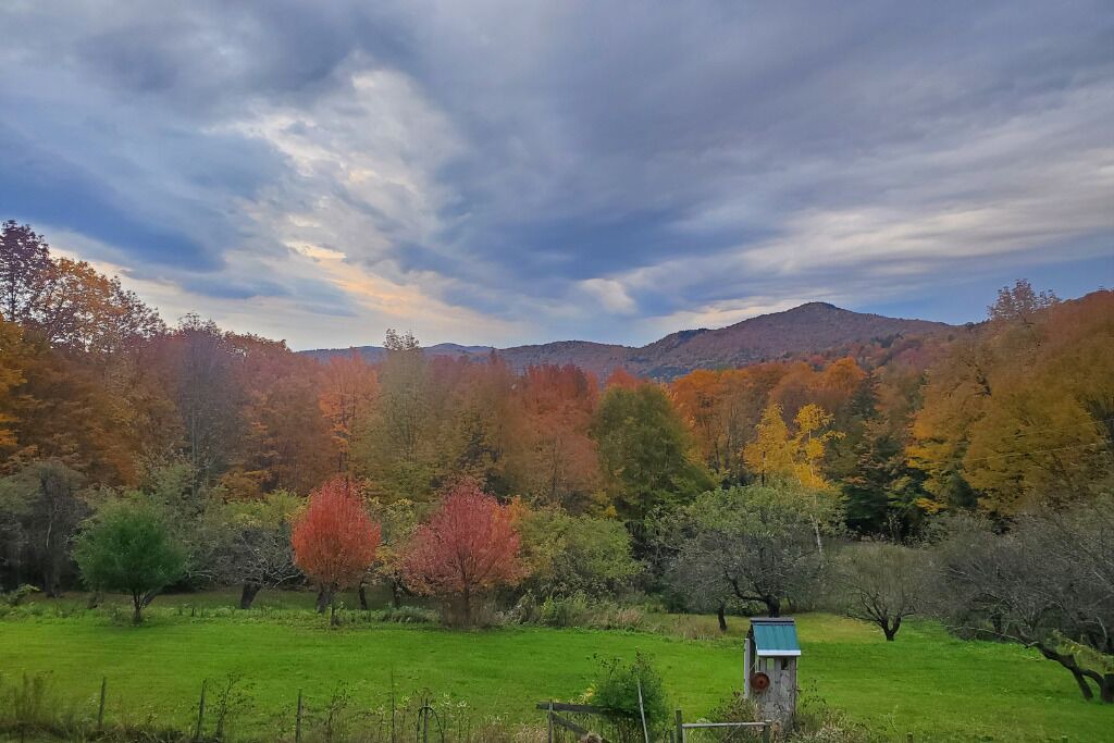 Photo of Others in Braintree