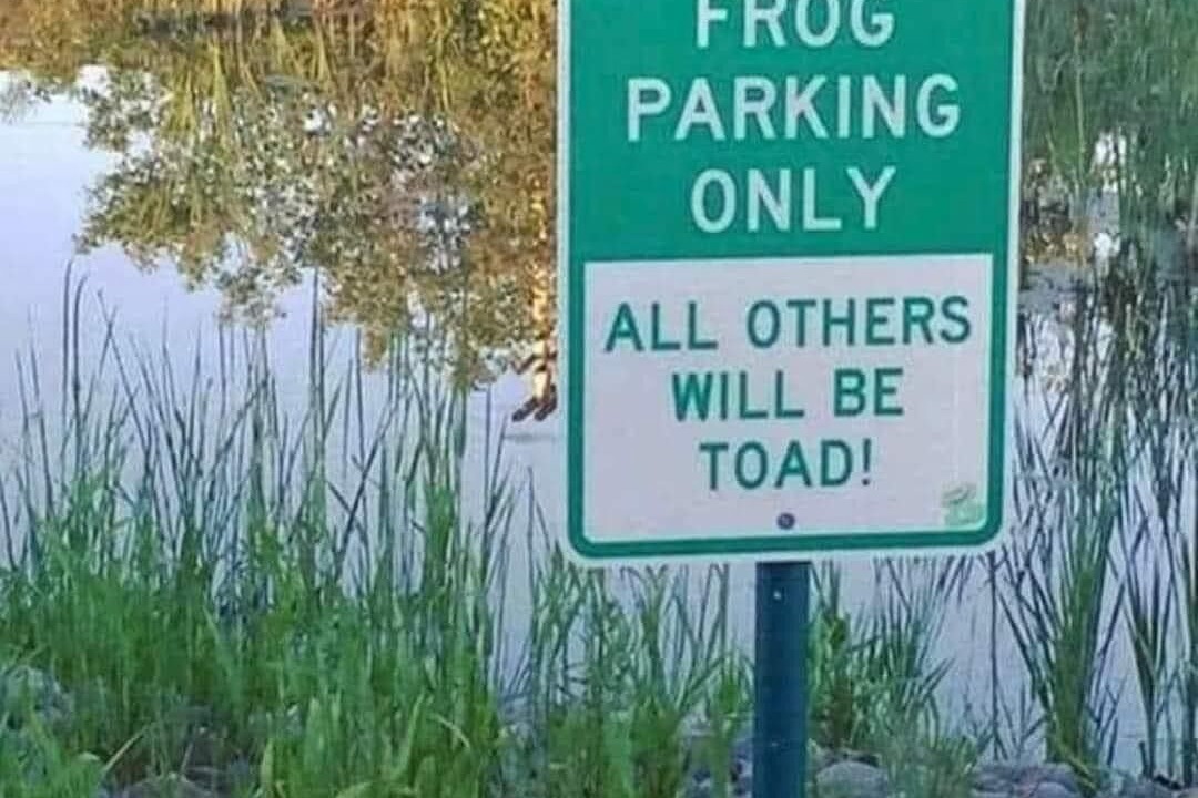 Photo of Others in Cortland
