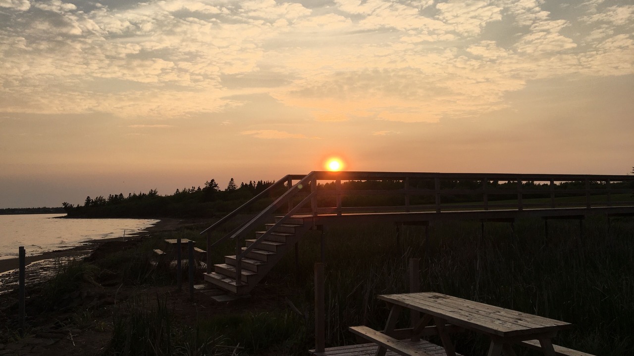 Photo of Outdoor in Bayside