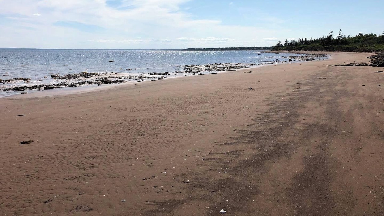 Photo of Others in Bayside