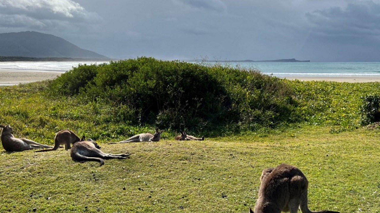 Photo of Others in Dunbogan