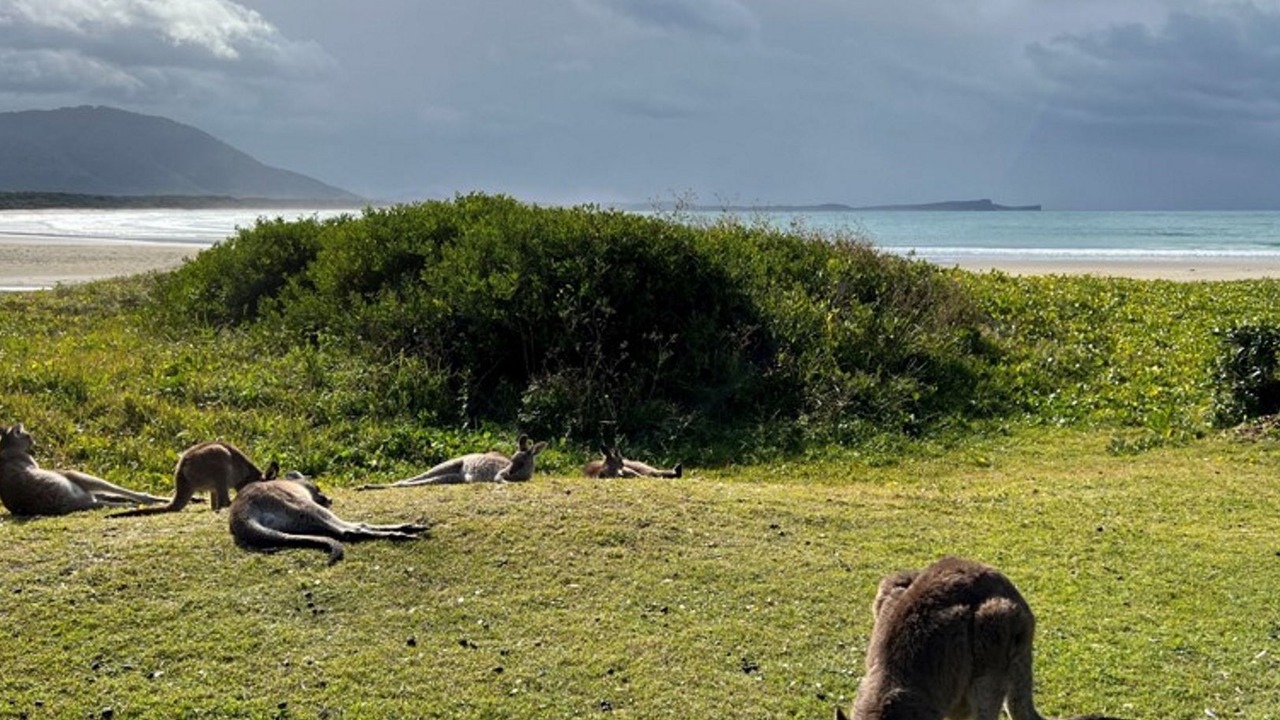 Photo of Others in Dunbogan