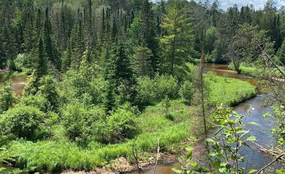 Photo of Outdoor in Indian River