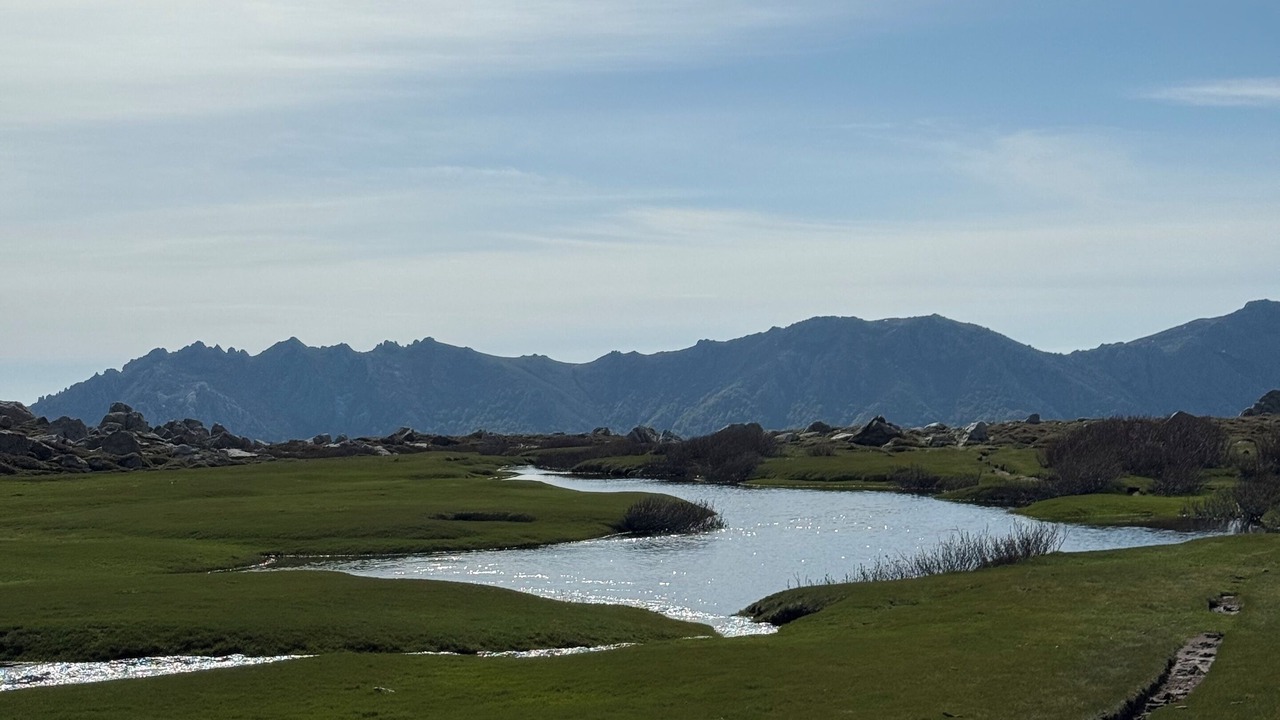 Photo of Others in Bastelica